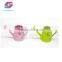 Mini Hollow Flower Watering Can