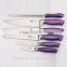 BH08-C stainless steel 6pc hollow handle cutlery and kitchen knife set