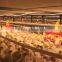 one stop service for build the poultry farm in Ghana