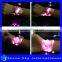  China Best Sell Led Flashing Shoestring