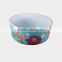 Melamine Ice Bowl with Plastic Cover