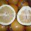 Chinese Fresh Honey Pomelo from Factory