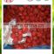 frozen fruit frozen strawberry from china