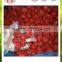 HOT SALE delicious juicy frozen strawberry from Liaoning