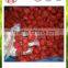 Bulk chinese Frozen IQF fresh strawberry