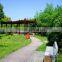Natural plants type Graden landscape