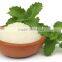 stevia chewing gum,stevia extract pure powder