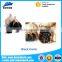 high quality Orderless Aged Black Garlic manufacturer