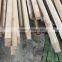 Natural Wooden broom handles with screw
