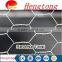 Chicken wire netting /galvanized hexagonal wire netting/poultry netting