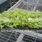 China supplier plant growing Tray Seed Germination Tray for greenhouse with good price