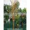 Dry Tree colourful plant bonsai coral tree faux red coral