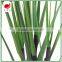 Factory Direct Sale Large Garden Decoration Onion Grass