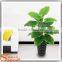 Factory wholesale uv artificial outdoor plants