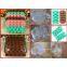 Promotional Silicone Ice Cube Tray/ Cheap Silicone Ice Cube Mold / Silicone Ice Tray