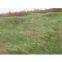 Slope Revetment