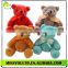 Colourful Custom Cheap Teddy Bear Toy Holiday Gift