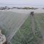 Agriculture greenhouse anti aphid insect protection net for tunnel farming