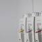 Halothane Anesthesia Vaporizer (Model: Dvapo200plus) China