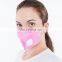 Folded Shape Ear-Loop Ffp3 Polyester Nonwoven Fabric Antidust Pink Face Mask