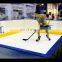 Ice hockey rink wall/ pitch barriers  HDPE dasher board