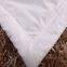 High Quality Customizable Quilts Thickened Wool Quilt Cotton Winter Quilt for Hotel