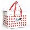 Hot Sale Non Woven Bag Lunch Cooler Food Delivery Bag