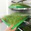OrangeMech Energy Saving 1000kg Per Day Capacity Hydroponic Fodder System For Sale With Good Quality
