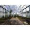 commerical steel frame agricultural garden green houses with good price