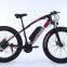 21 Speed beach cruiser electric e bike 48v 26inch electric bicycle kit