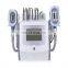 2022  beauty salon hot selling 5 handle cryolipolysis machine/fat freezing slimming machine combine double chin cryo weight loss