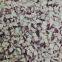 pure nature freeze dried red onion dice