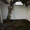 Versatile Kemitol Garden Fence 6*8FT for All Your Fencing Needs