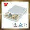 Good Scale nice look seca weighing scale