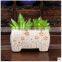 2016 small cheap porcelain decorative ceramic flower pots for Succulents plant