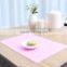 2016 camping beach & picnic mat silicone mat