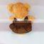 EN71 CE very soft golden stuffed coloured teddy bear toy with apron bow