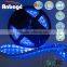 12V 5050 RGB 60 LED/M IP65