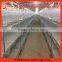broiler battery cage quail cage for breeding chicken Competitive Prices