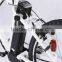 EN15194 approval Excellent electric bicycle/electric bike /ebike