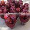 oil rig drill bit oil drilling equipments