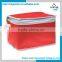 China Manufacturer Cheap Disposable Non-woven Ice Cooler Bag for Food