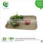 fancy tray dinnerware set Biodegradable Serving Tray size