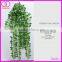 Hot Selling Evergreen Ornamental Outdoor Foliage Plants