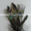 Beautiful peacock feather headdress hair accessories with grenadine