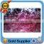 High quality medical animal pathological cancer prepared slides