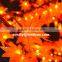Led Maple tree yellow leaf