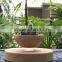 gardening decorative plant tree pots