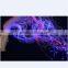 In Door / Outdoor Using Games Children,made of PMMA Lighting Fiber Optic