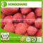 A 13 Strawberry Grade A Frozen Strawberry